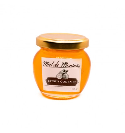 TARRO MIEL DE MONTAÑA 100GR