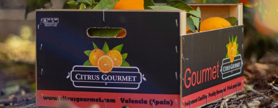 ¡Exprime la vida! Descubre los increíbles beneficios de las naranjas y mandarinas de Citrusgourmet