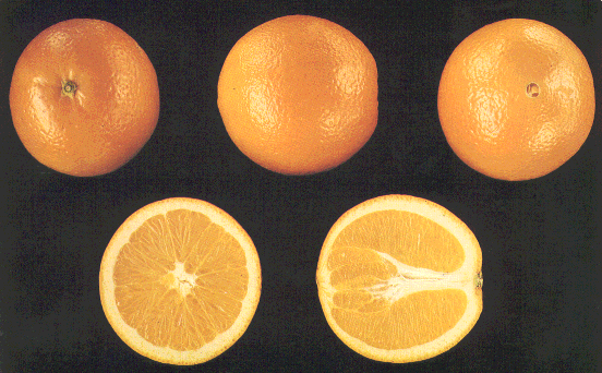 Importancia del consumo de frutas para la salud
