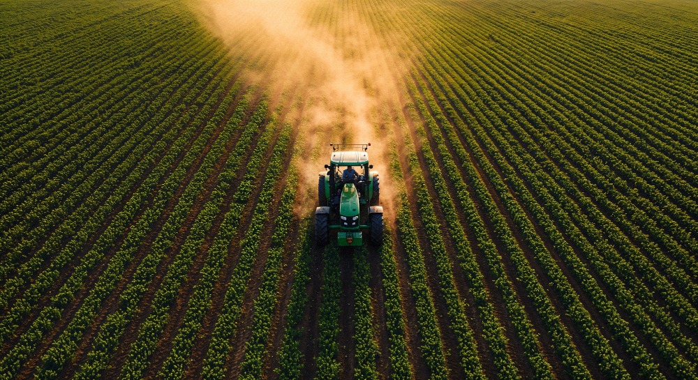 Campaña Citrícola Valenciana