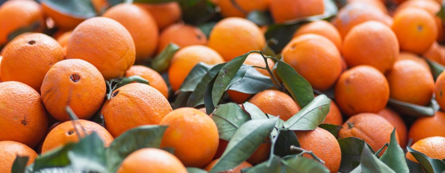 ¿Cuántas mandarinas al día hay que comer para estar bien?