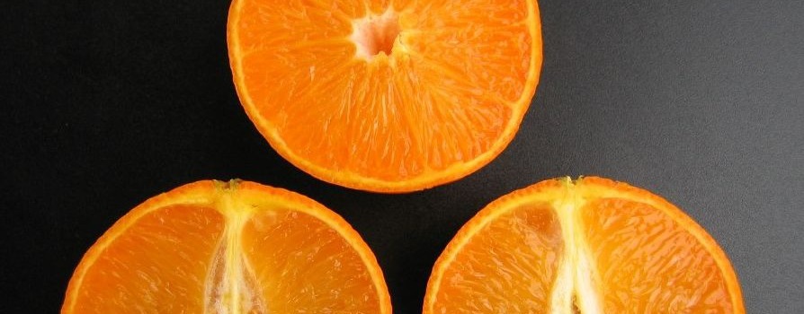 Iniciamos la recolección de la variedad Ortanique