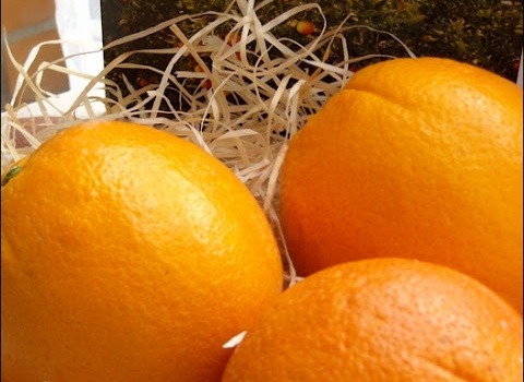 Naranjas con nata y canela