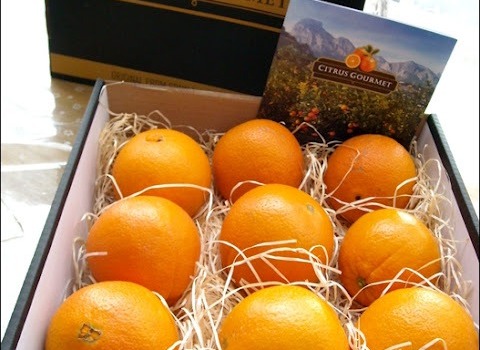 Las reacciones de nuestros clientes nos avalan