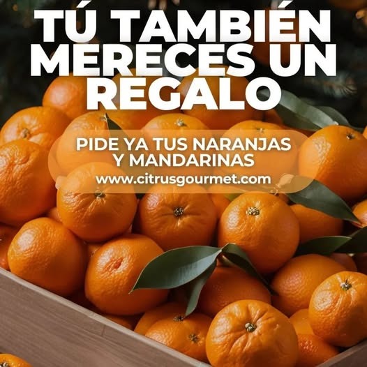 ¡Naranjas y mandarinas: el regalo más dulce de la Navidad!
